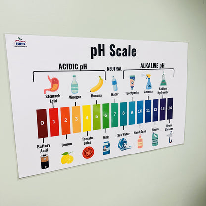 "pH Scale" Anchor Chart