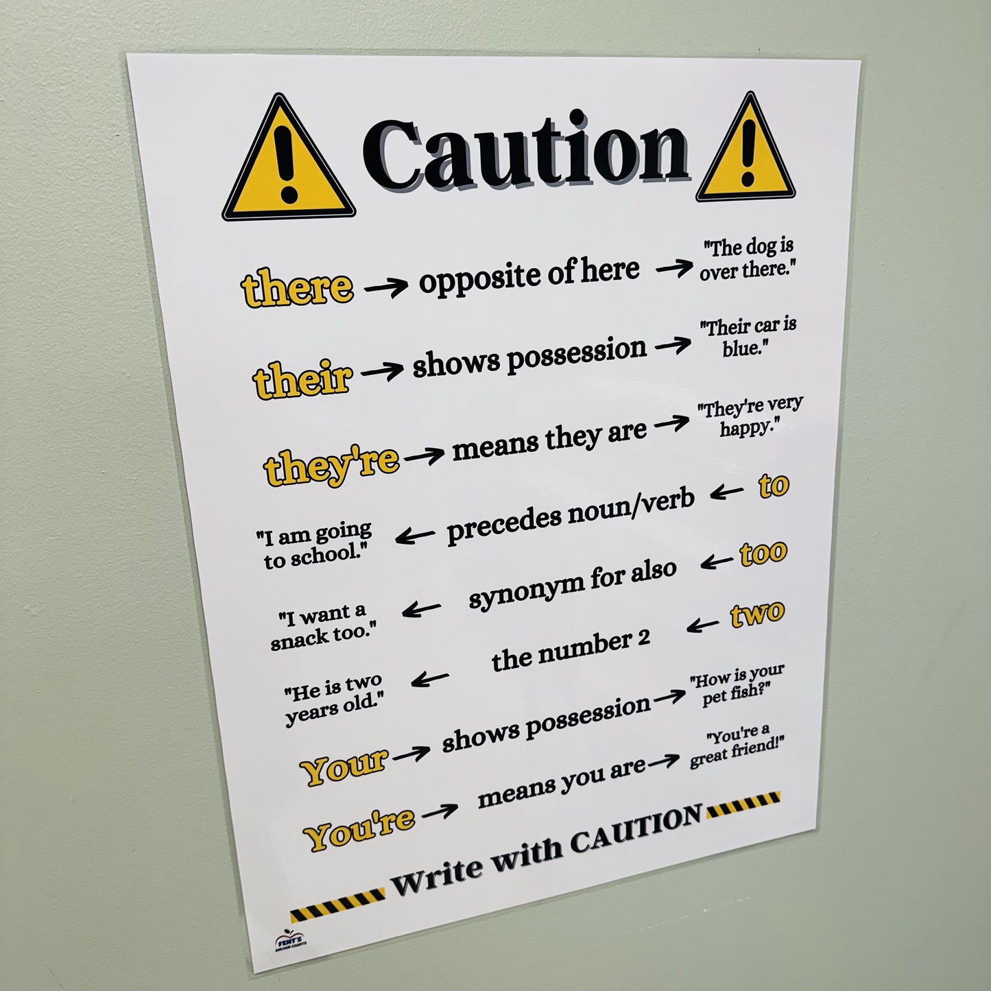"Caution Homophones" Anchor Chart