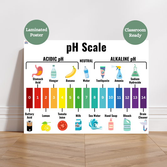Colorful laminated pH Scale anchor chart for classrooms showing the range from 0 to 14, with real-life examples like battery acid, lemon juice, milk, water, soap, bleach, and drain cleaner. Divided into acidic, neutral, and alkaline categories with student-friendly images and labels. Ideal for teaching acids and bases in elementary and middle school science or homeschool STEM setups.