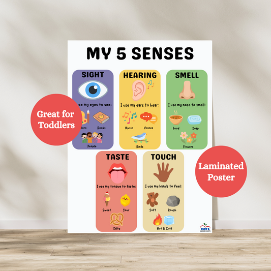 five senses laminated poster that breaks down the five senses: sights, hearing, smell, taste and touch. Great poster for pre school and kindergarten classrooms.