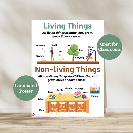 Living vs non living things laminated poster. This anchor chart compares the differences between living things and non living things for you children. Great to hang in elementary classrooms and science classrooms. Laminated for durability.