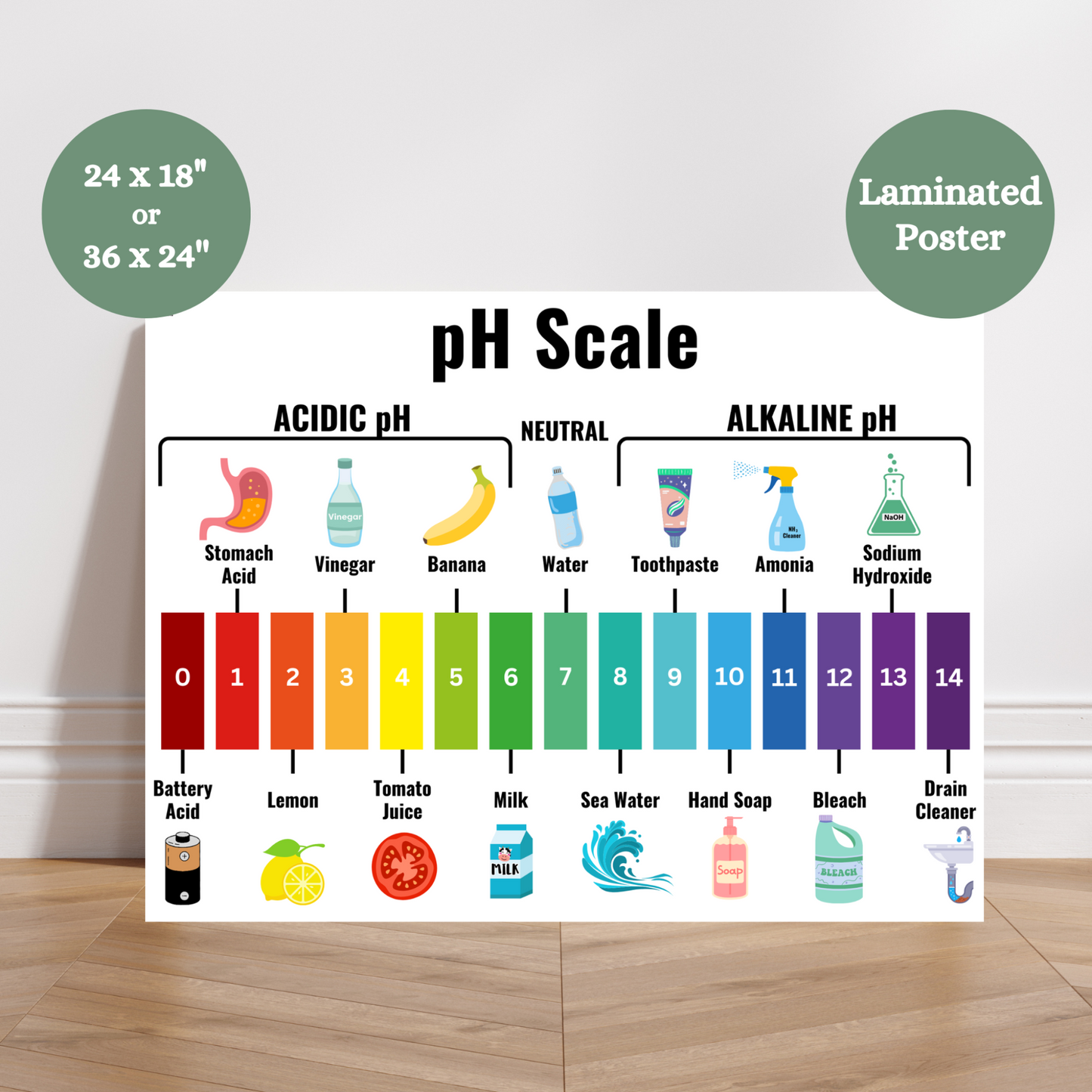 Colorful laminated pH Scale anchor chart for classrooms showing the range from 0 to 14, with real-life examples like battery acid, lemon juice, milk, water, soap, bleach, and drain cleaner. Divided into acidic, neutral, and alkaline categories with student-friendly images and labels. Ideal for teaching acids and bases in elementary and middle school science or homeschool STEM setups.