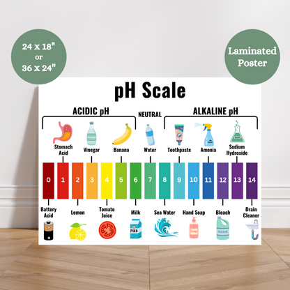 Colorful laminated pH Scale anchor chart for classrooms showing the range from 0 to 14, with real-life examples like battery acid, lemon juice, milk, water, soap, bleach, and drain cleaner. Divided into acidic, neutral, and alkaline categories with student-friendly images and labels. Ideal for teaching acids and bases in elementary and middle school science or homeschool STEM setups.
