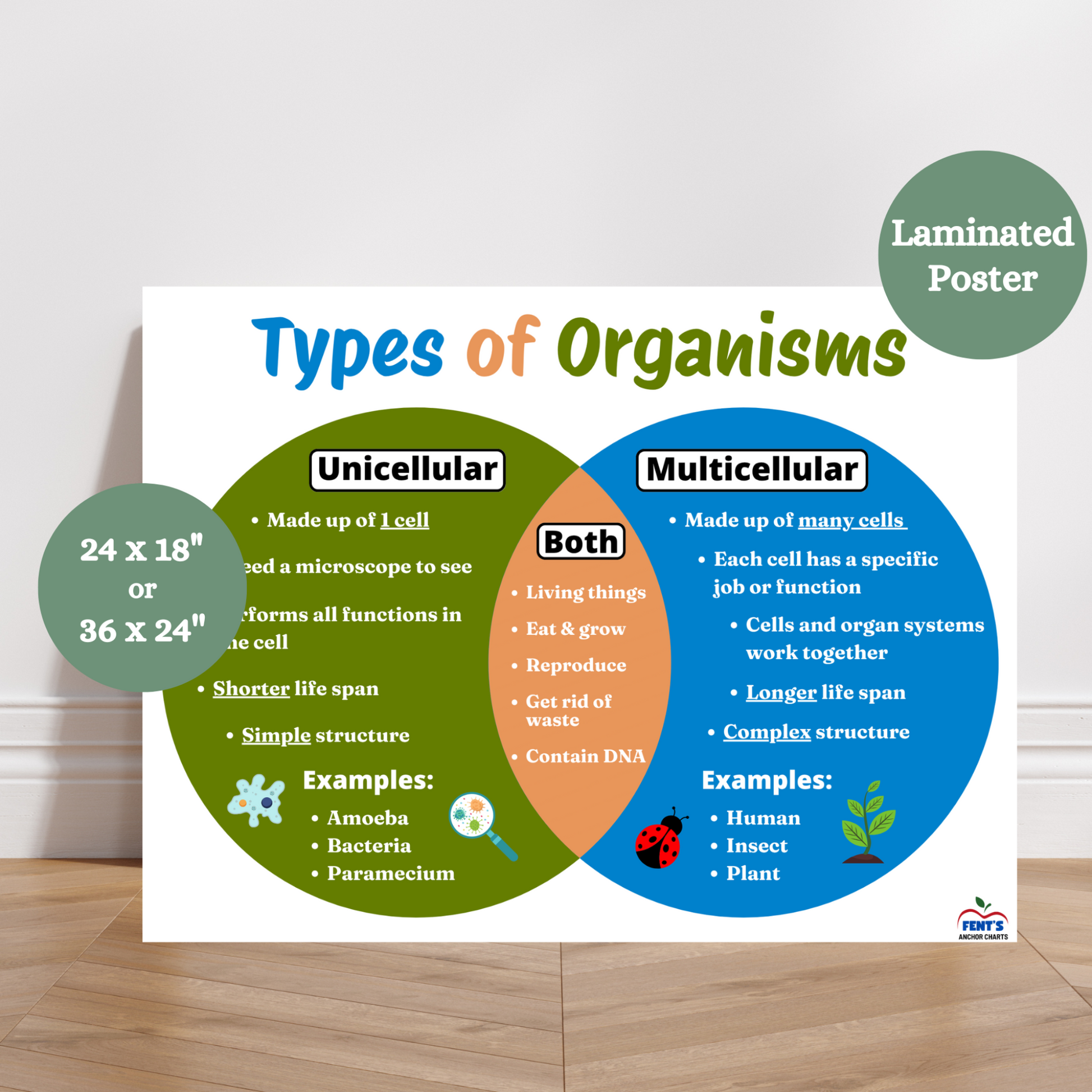Types of Organisms anchor chart showing comparison between unicellular and multicellular organisms using a Venn diagram with examples