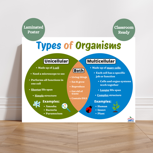 Types of Organisms anchor chart showing comparison between unicellular and multicellular organisms using a Venn diagram with examples. Laminated for durability in science classrooms.